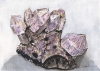 Amethyst with Geothite